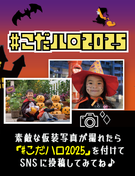 #こだハロ2025-SNS